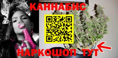 мдпв Пугачёв