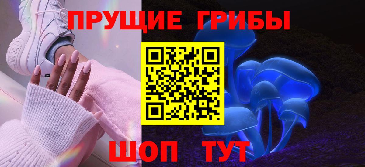 купить   Вход с VPN  Нижний Тагил  Псилоцибиновые грибы MAGIC MUSHROOMS 